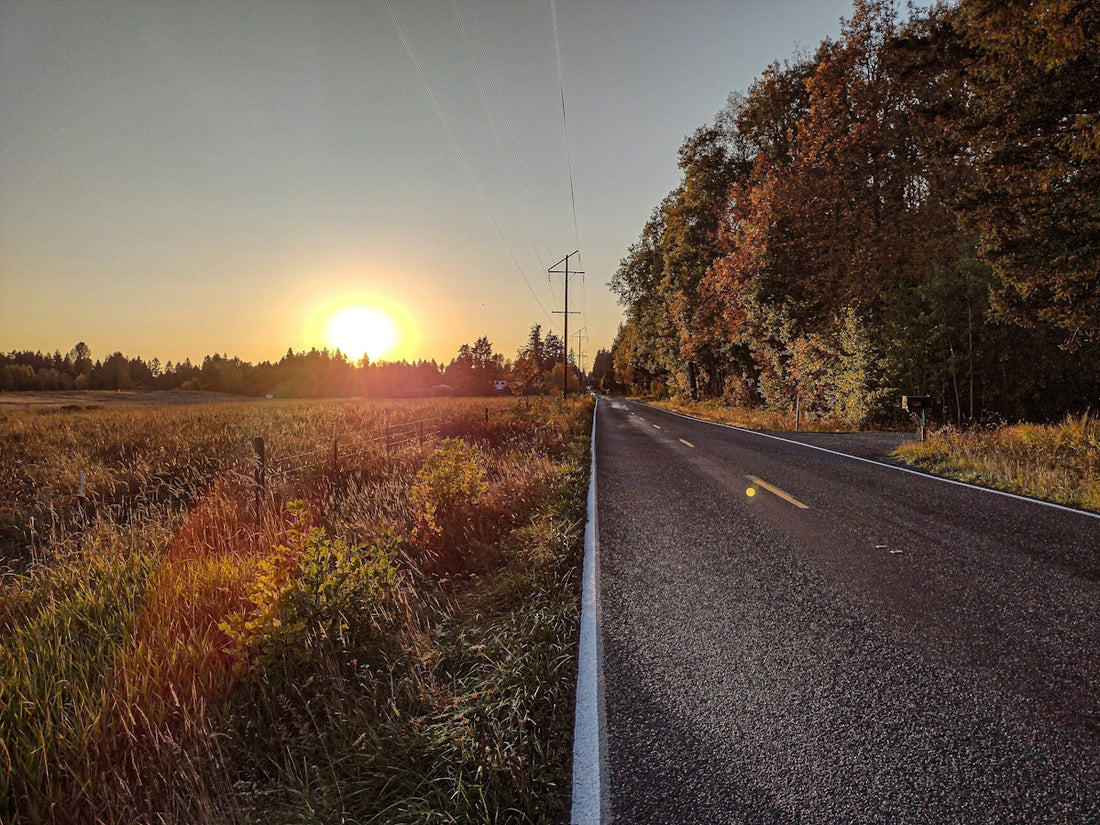 The sun is setting over a rural road