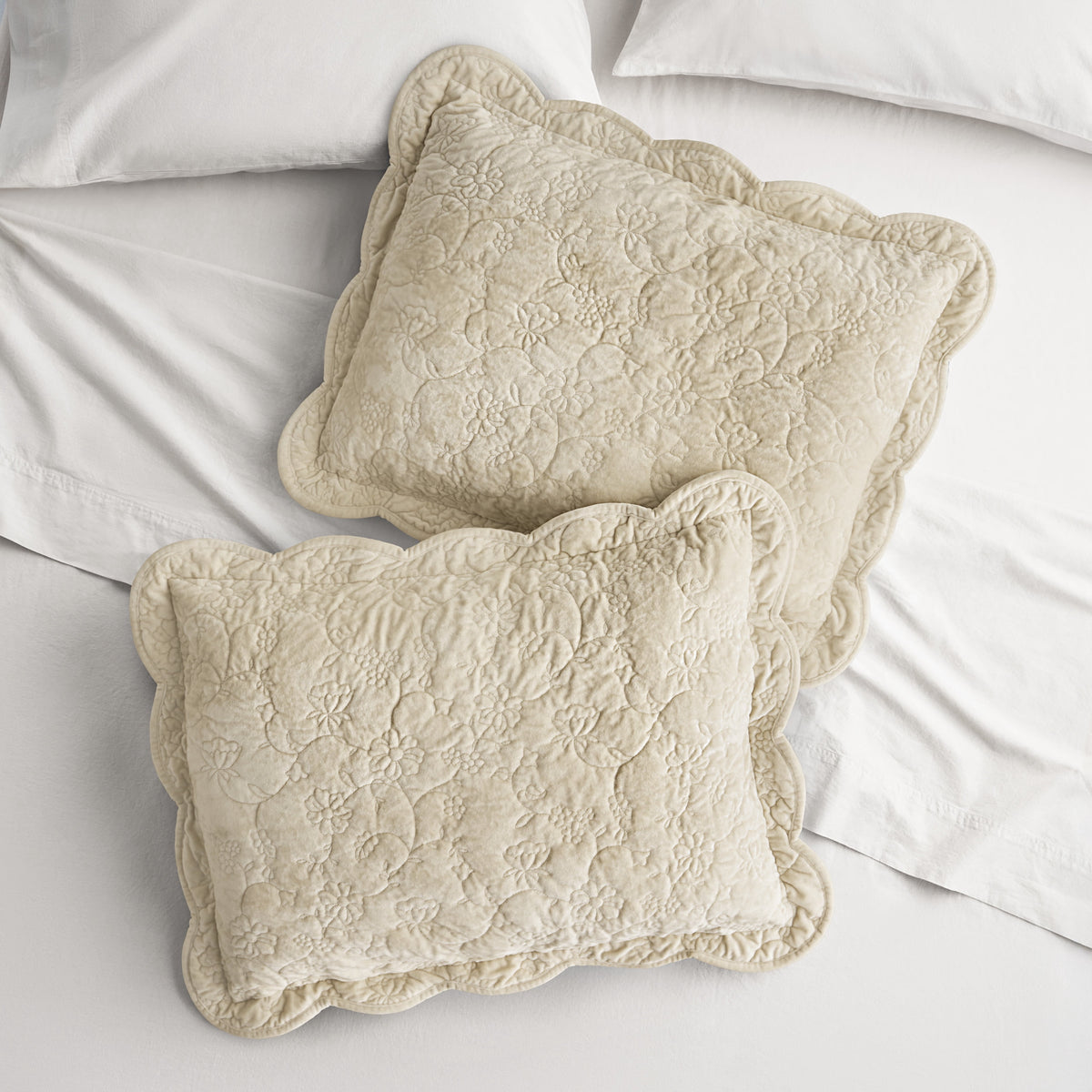 Agatha Floral Gauze Pillow Sham, Standard, Blue Dust, 2 Pack | Prairie Lane